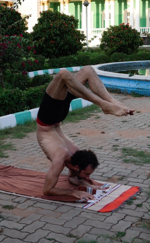 Quelle strane acrobazie nello yoga